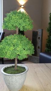 An der Altstadt - 16