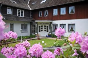 Hotel «Waldrausch», Ханенклее-Боксвизе