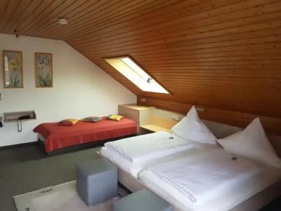 H41 Inn Garni Freiburg - 40