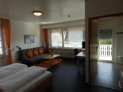 H41 Inn Garni Freiburg - 34