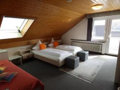 H41 Inn Garni Freiburg - 4