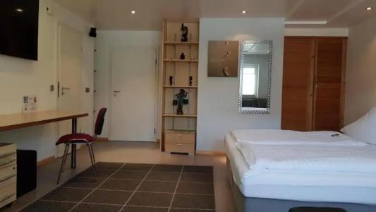 H41 Inn Garni Freiburg - 47