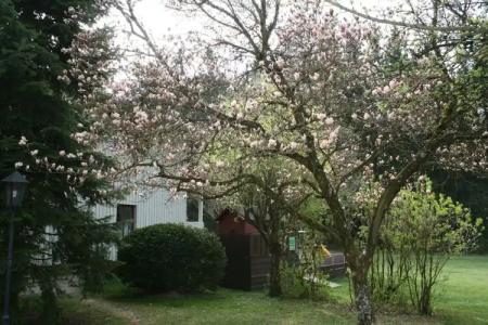 Waldpension Jägerstüberl - 89