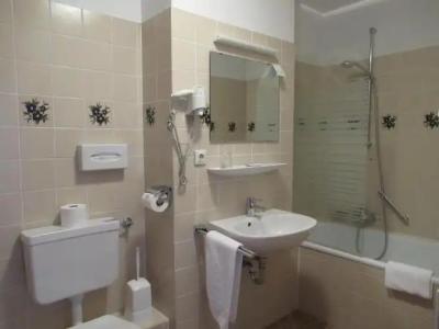 Stadt Gernsbach - 23