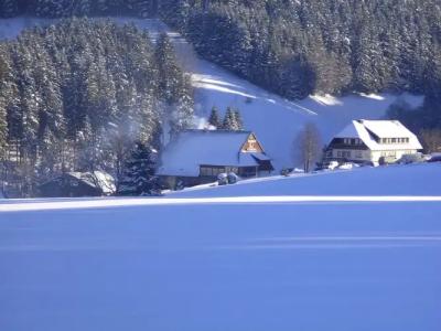 LandThälerhäusle Ochsen - 16