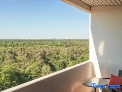 Crowne Plaza Frankfurt Congress, An Ihg - 140