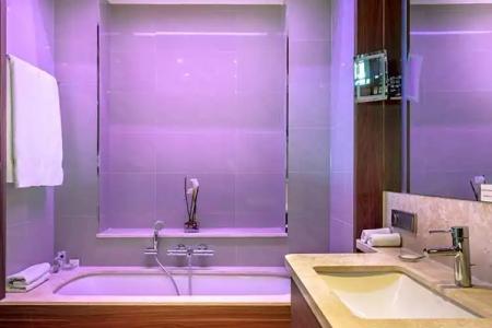 Crowne Plaza Frankfurt Congress, An Ihg - 146