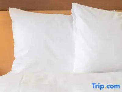 Crowne Plaza Frankfurt Congress, An Ihg - 121