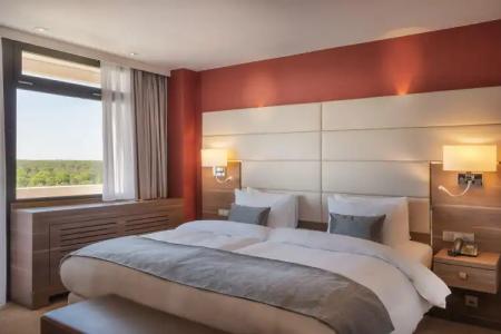 Crowne Plaza Frankfurt Congress, An Ihg - 30