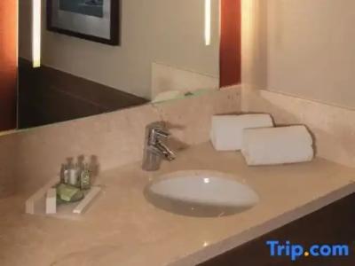 Crowne Plaza Frankfurt Congress, An Ihg - 143