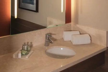 Crowne Plaza Frankfurt Congress, An Ihg - 99