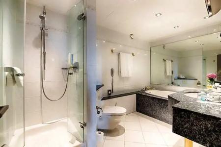 Crowne Plaza Frankfurt Congress, An Ihg - 149