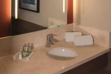 Crowne Plaza Frankfurt Congress, An Ihg - 37