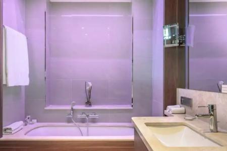 Crowne Plaza Frankfurt Congress, An Ihg - 95