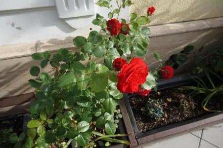 Franken an der Messe - 48