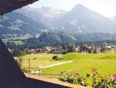 Garni Vergissmeinnicht - 15