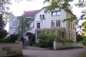 Hotel «Villa Herzog», Дрезден