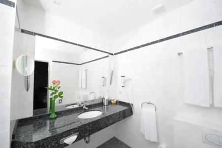 Frühlings-Hotel - 8