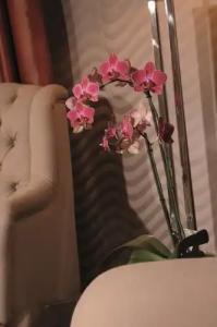 Best Western Plus StadtPalais - 74