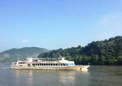 RheinLilie - 4