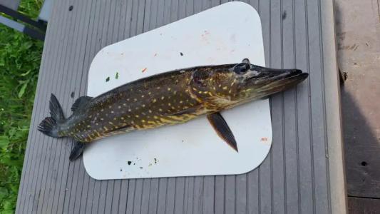 Берег Соддера - 22