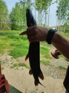 Берег Соддера - 21