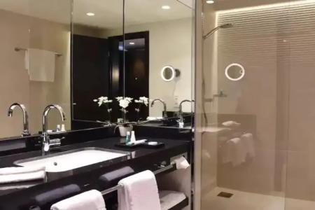 Steigenberger Bad Homburg - 7