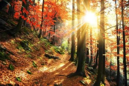 Wellness & Ayurveda Am Eichenberg - 12