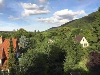 Plumbohms Echt-Harz-Hotel - 17