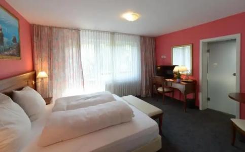 SchwarzwaldSonne - 30