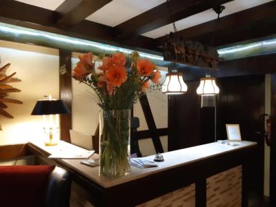 SchwarzwaldSonne - 23