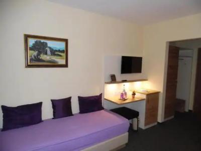 SchwarzwaldSonne - 33