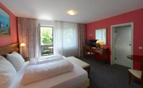 SchwarzwaldSonne - 41