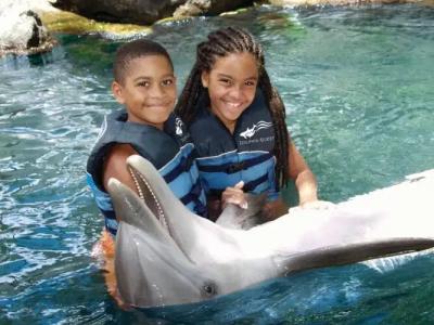 The Kahala and Resort - No Resort Fee - 22