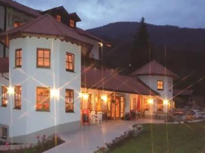 Wellness- und WohlfühlWaldeck - 20