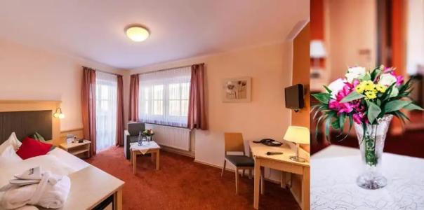 Wellness- und WohlfühlWaldeck - 37