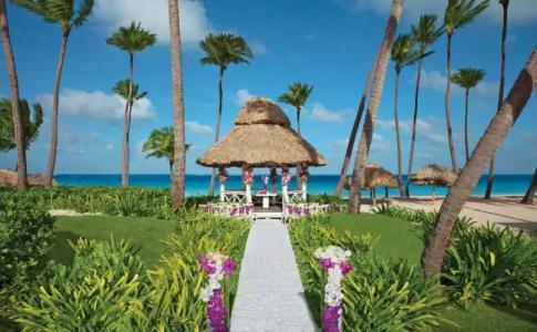 Dreams Palm Beach Punta Cana - 18