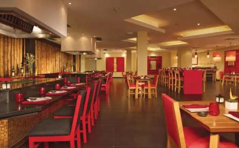 Dreams Palm Beach Punta Cana - 21