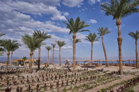 The Bayview Taba Heights Resort - 24