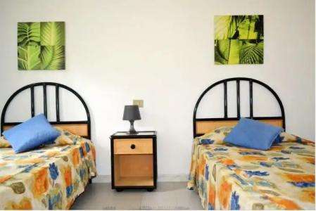 Molino de Guatiza - 2