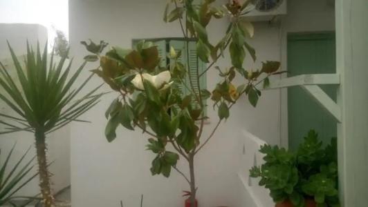 Skyros Panorama Studios - 48