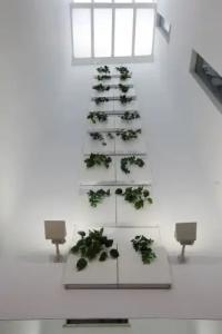 La Bella Sevilla - 12