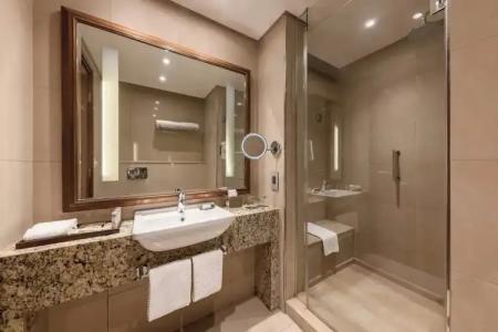 Renaissance Cairo Mirage City - 50