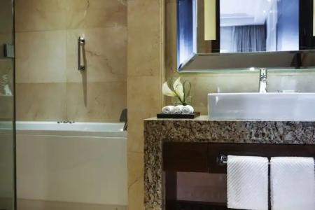 Renaissance Cairo Mirage City - 51