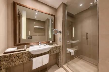 Renaissance Cairo Mirage City - 9