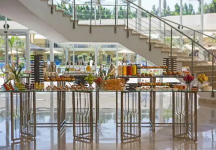 Renaissance Cairo Mirage City - 27