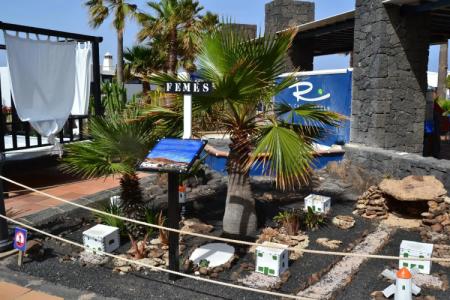 Vik Coral Beach - 38