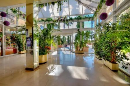 Servigroup Papa Luna - 26