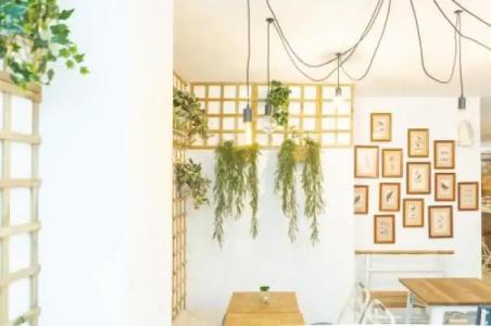 Picnic Dreams Boutique Hostel - 13