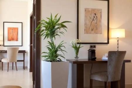 Senator Mar Menor Golf & Spa Resort - 83